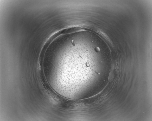 X0000063530628200601231542