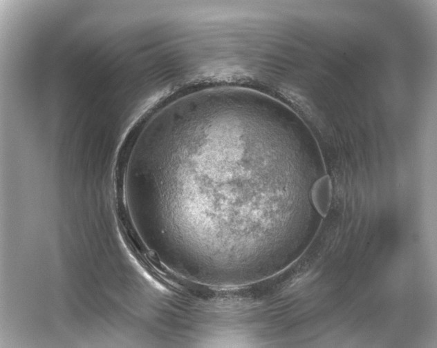 X0000063530630200601231542