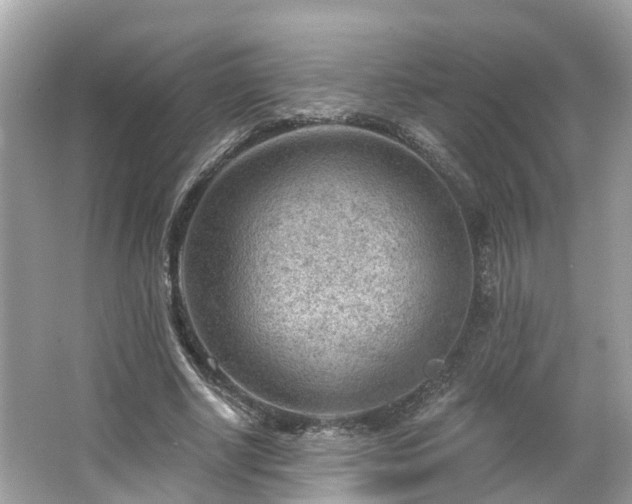 X0000063530634200601231542