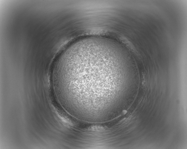 X0000063530636200601231543