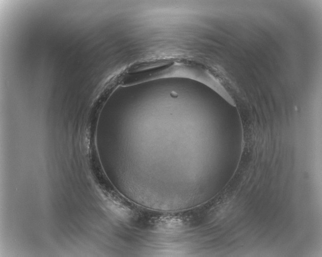 X0000063530640200601231543