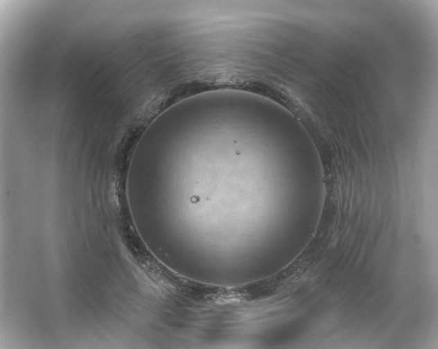 X0000063530643200601231543