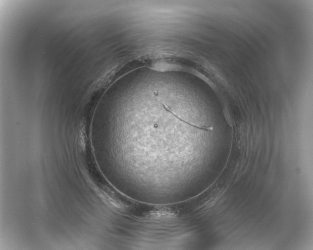 X0000063530644200601231543