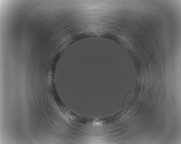 X0000063530647200601231543