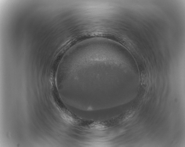 X0000063530648200601231543