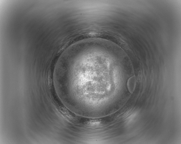 X0000063530651200601231543