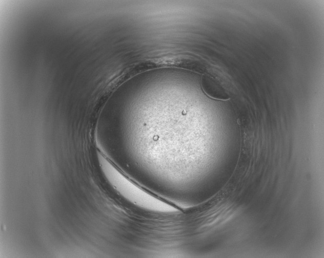 X0000063530652200601231543