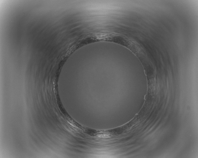 X0000063530653200601231543