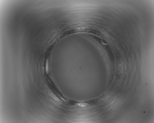 X0000063530654200601231543