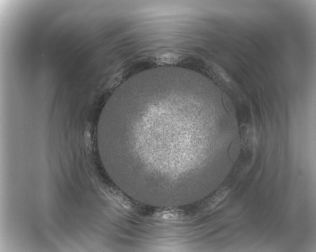 X0000063530655200601231543