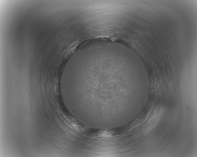 X0000063530656200601231543