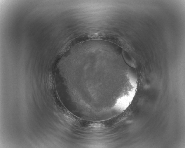 X0000063530659200601231543