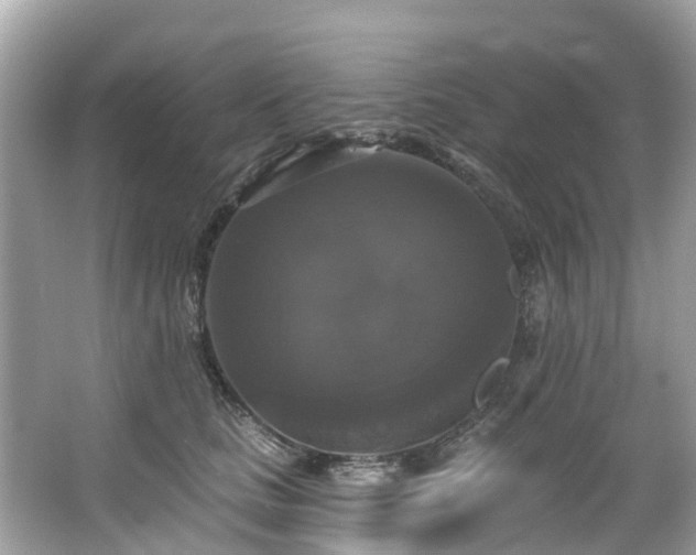 X0000063530661200601231543