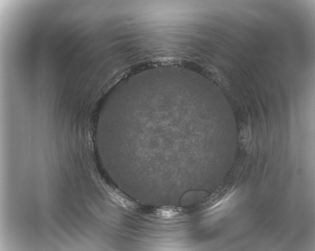 X0000063530662200601231543