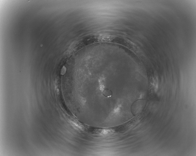 X0000063530663200601231543