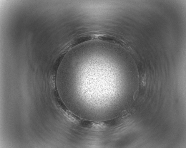 X0000063530666200601231543