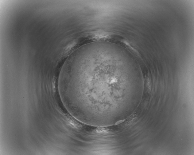 X0000063530668200601231543