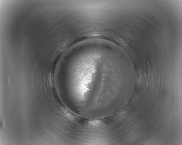 X0000063530669200601231543