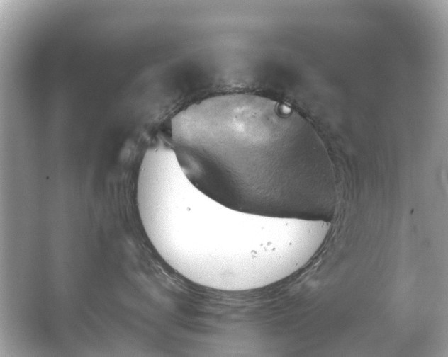 X0000063530672200601231543