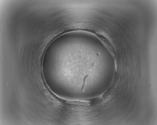 X0000063530673200601231542