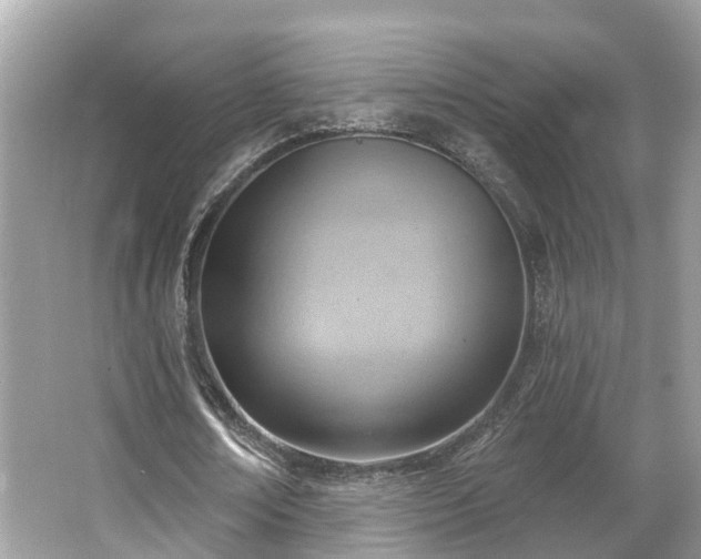 X0000063530674200601231542