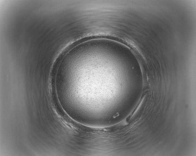 X0000063530676200601231542