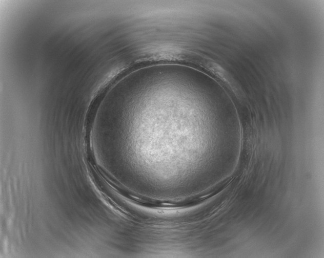 X0000063530677200601231542