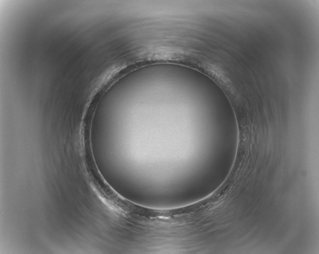 X0000063530678200601231542