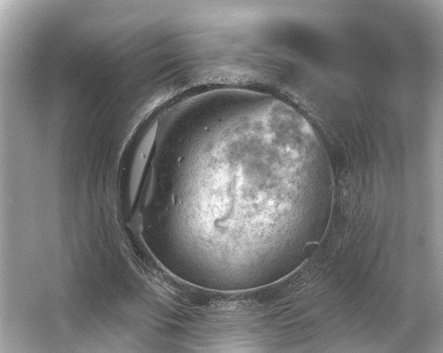 X0000063530679200601231542