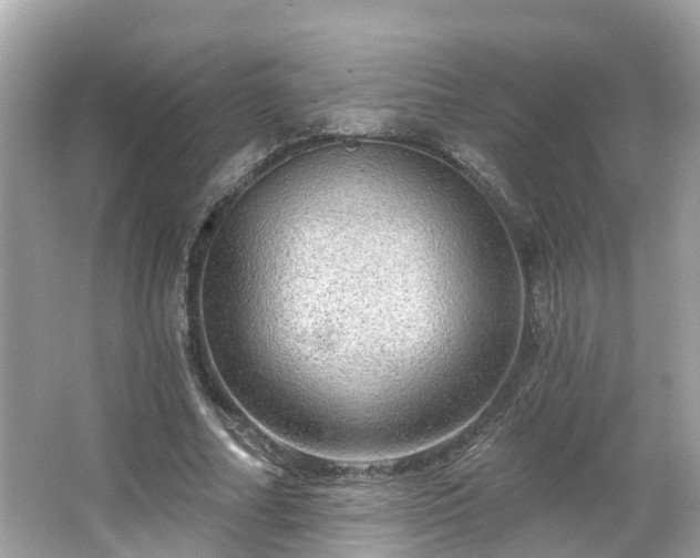 X0000063530682200601231542