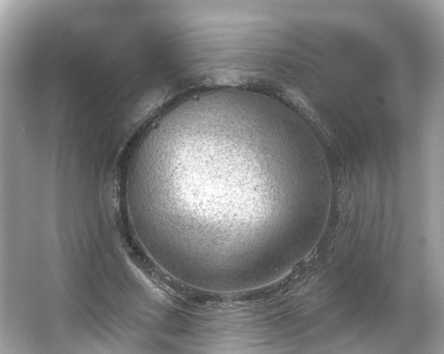 X0000063530683200601231542