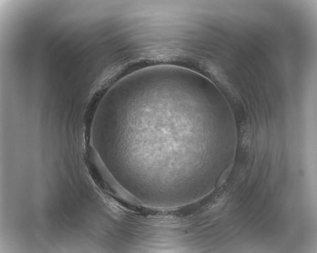 X0000063530685200601231542