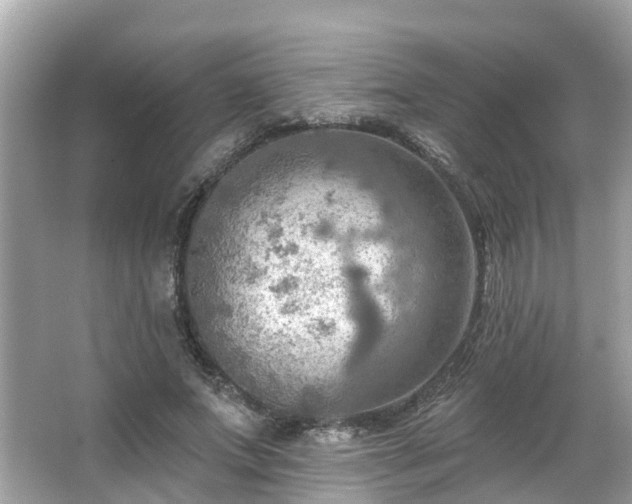 X0000063530687200601231542