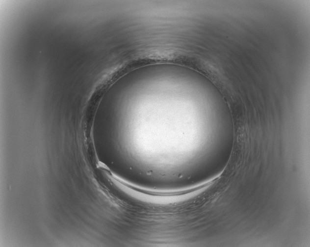 X0000063530688200601231542