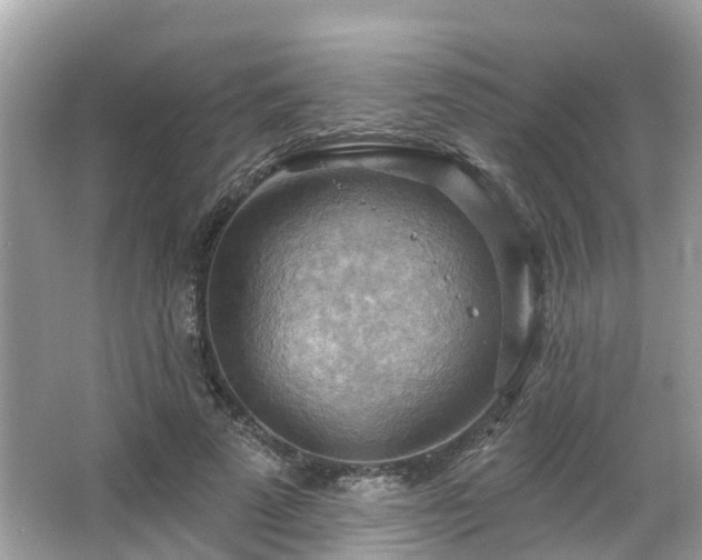 X0000063530689200601231542