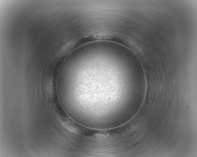 X0000063530690200601231542