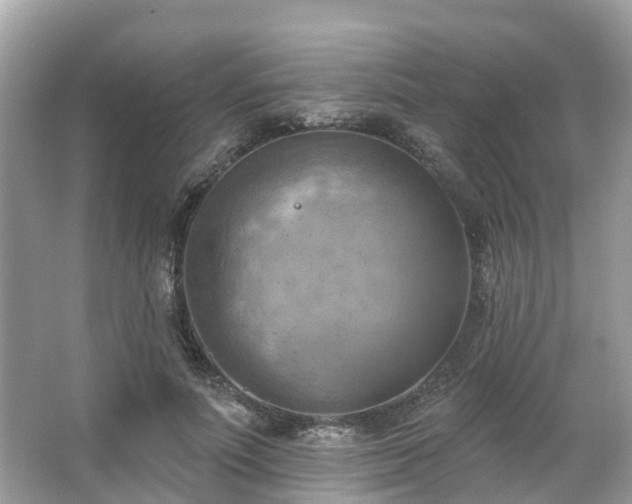 X0000063530691200601231542