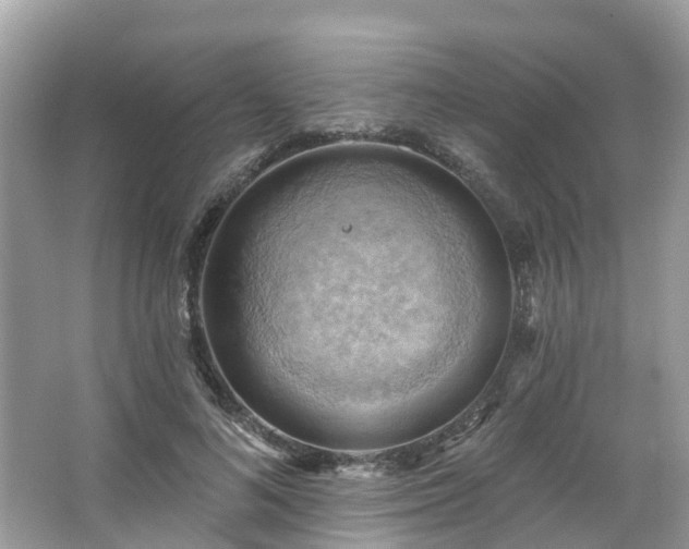 X0000063530692200601231542