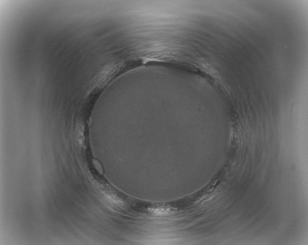 X0000063530693200601231542