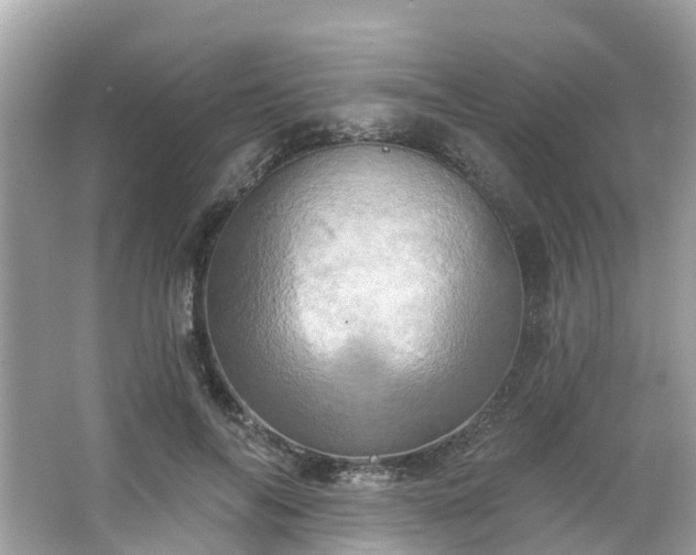 X0000063530694200601231542