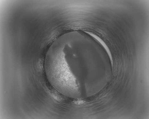 X0000063530695200601231542