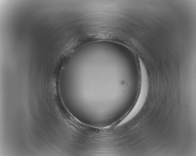 X0000063530696200601231542