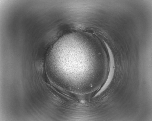 X0000063530697200601231542