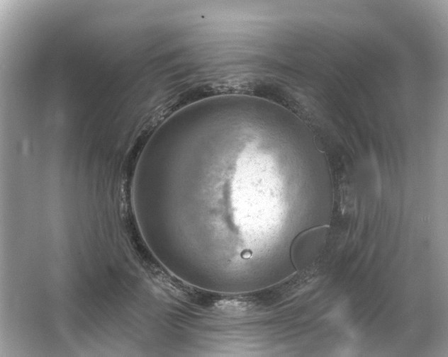 X0000063530699200601231542