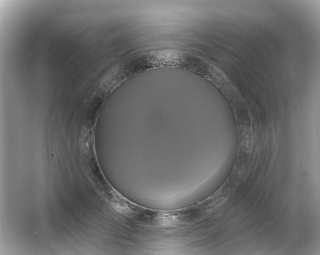 X0000063530701200601231542