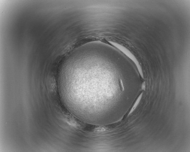 X0000063530704200601231542