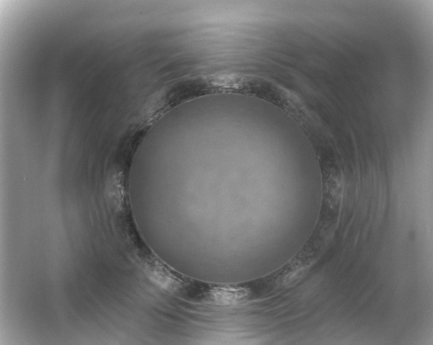 X0000063530707200601231542