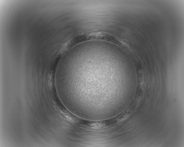 X0000063530708200601231542