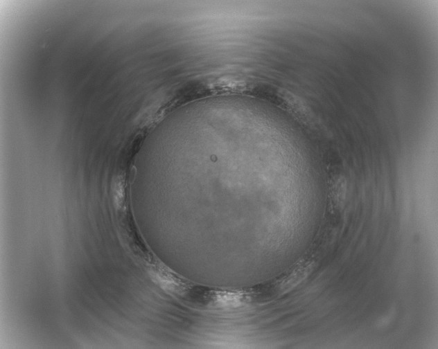 X0000063530709200601231542