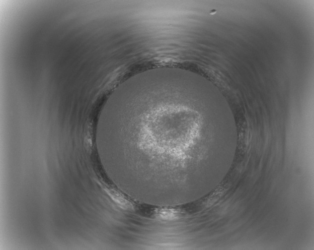 X0000063530710200601231542